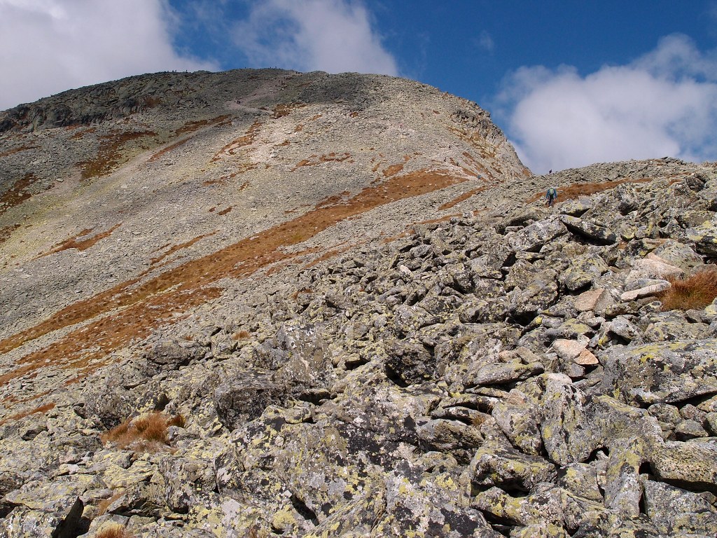 img00011.jpg