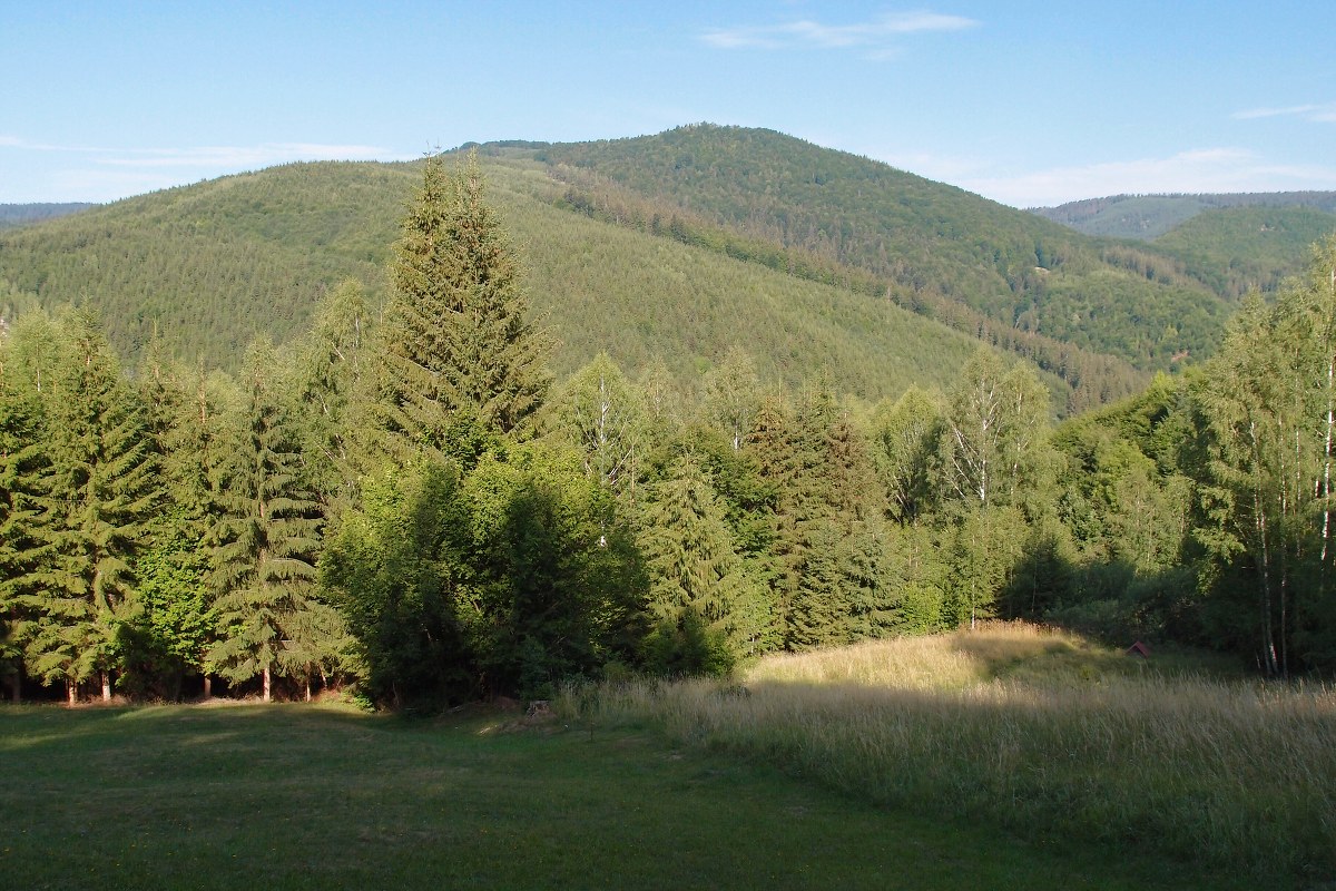 img00002.jpg