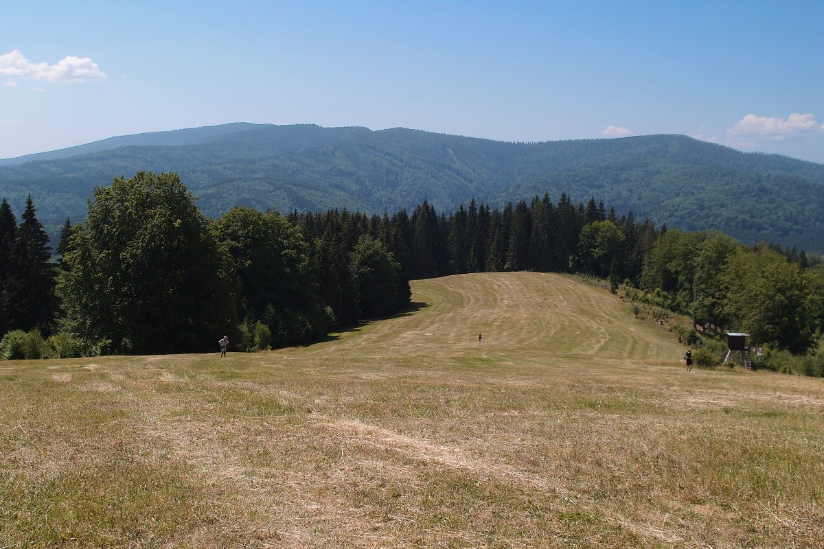 img00006.jpg