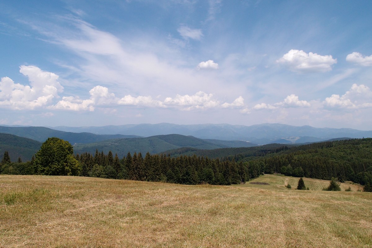 img00007.jpg