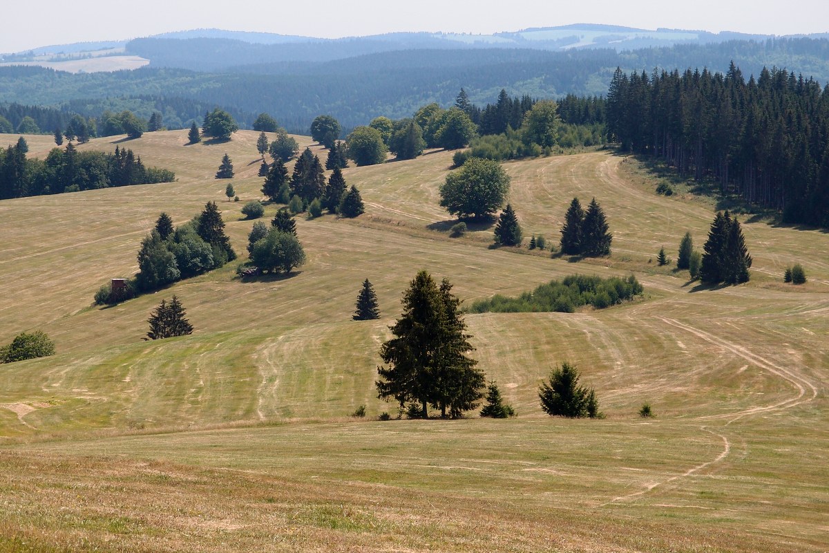 img00010.jpg