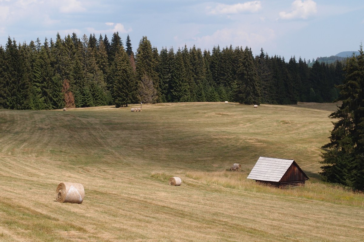 img00013.jpg