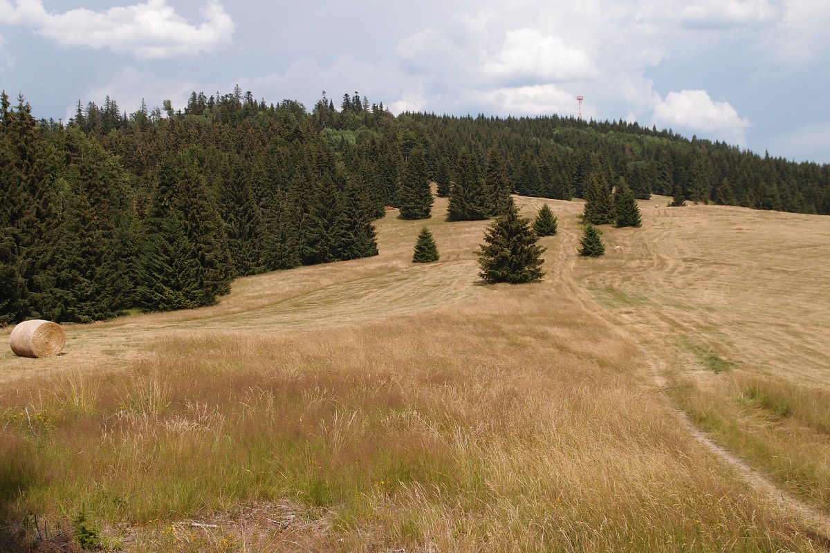 img00014.jpg