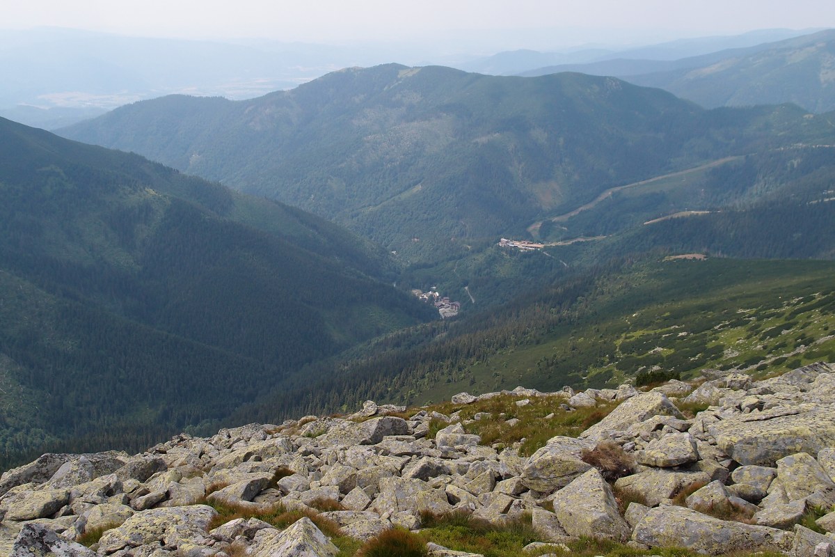 img00009.jpg