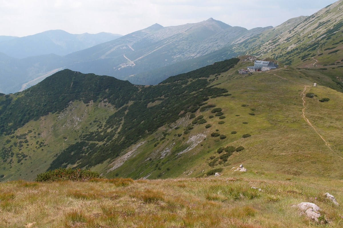 img00016.jpg