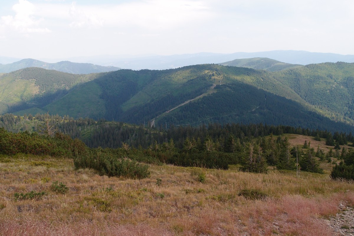 img00023.jpg