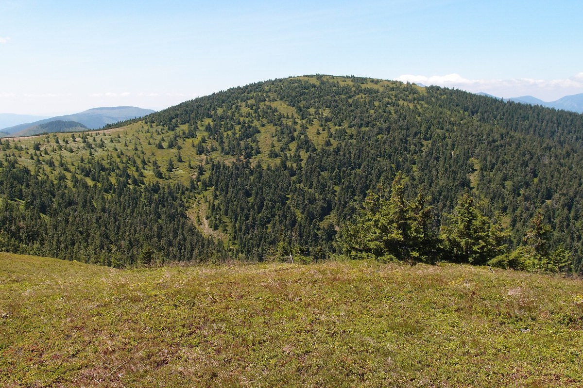 img00010.jpg