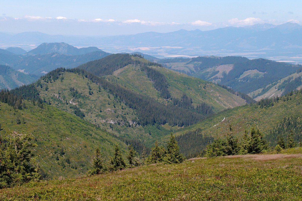 img00011.jpg