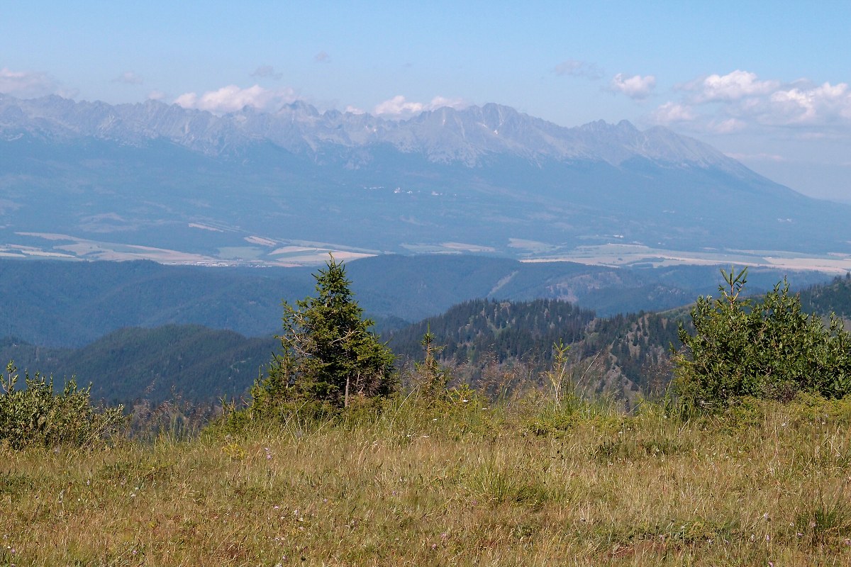 img00016.jpg