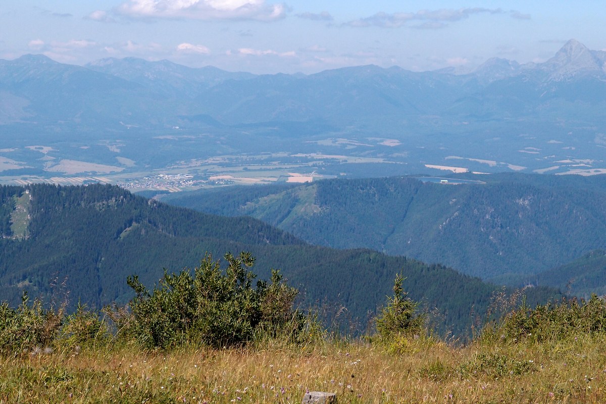 img00017.jpg