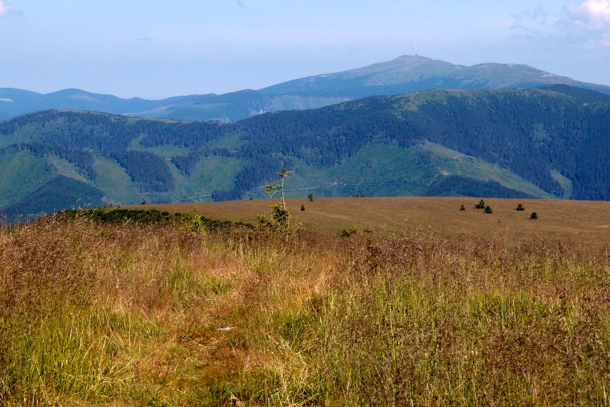 img00020.jpg