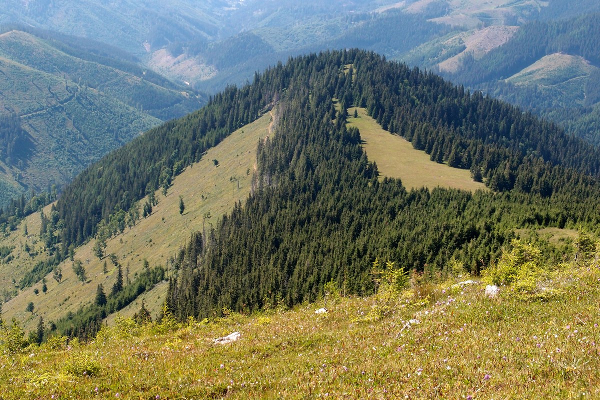 img00021.jpg