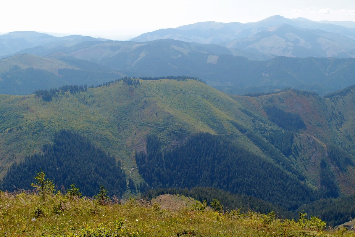 img00022.jpg