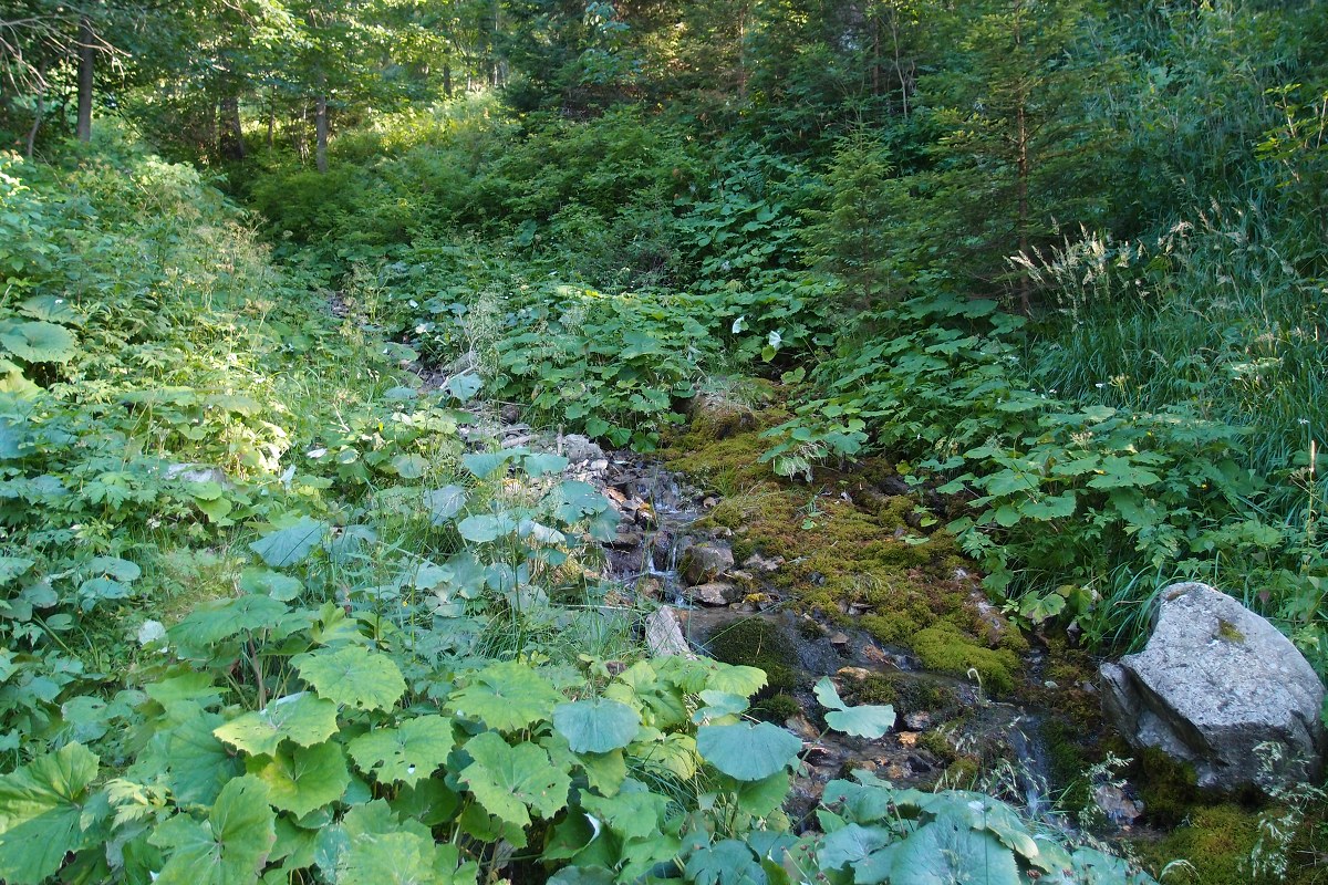 img00024.jpg