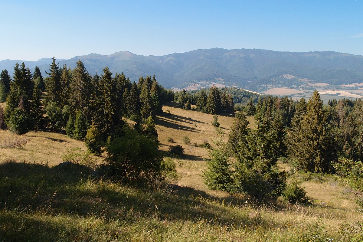 img00017.jpg
