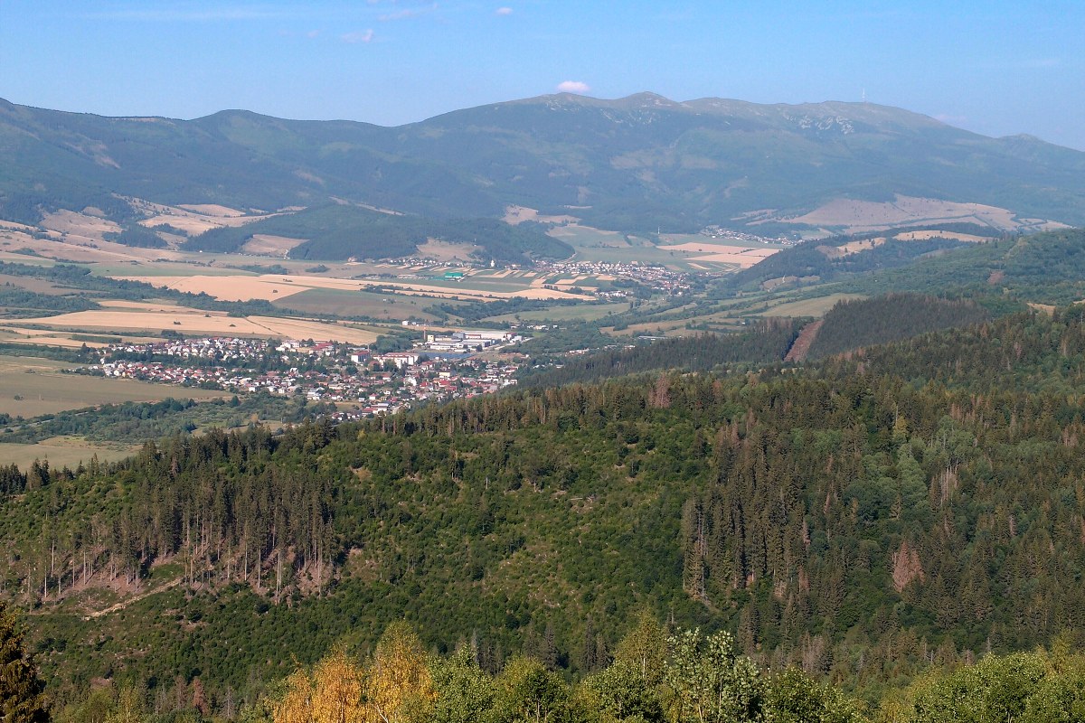 img00020.jpg