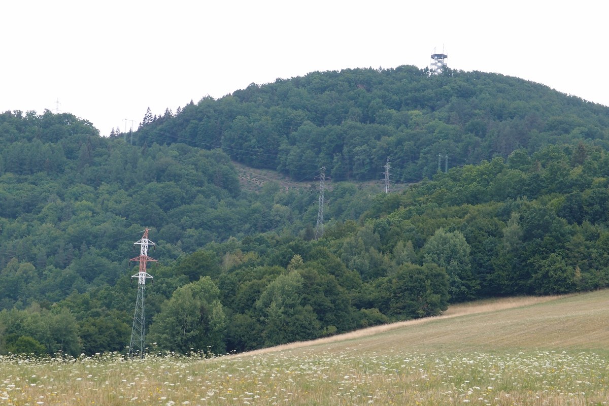 img00001.jpg