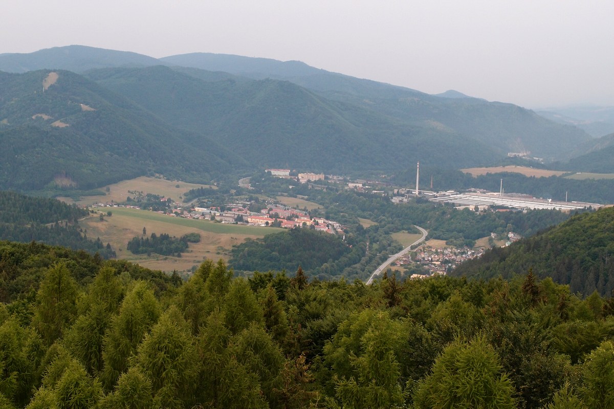 img00005.jpg
