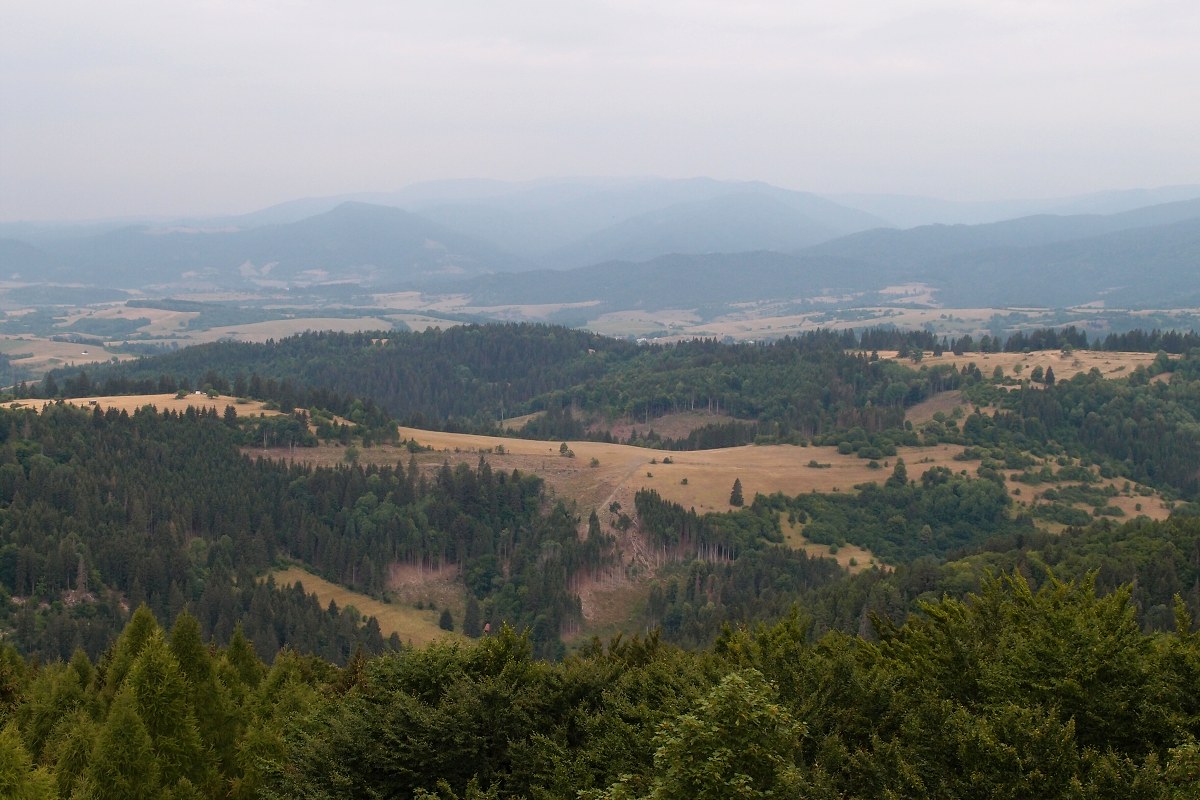 img00006.jpg