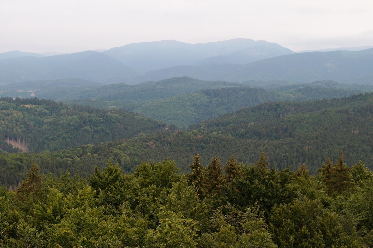 img00007.jpg