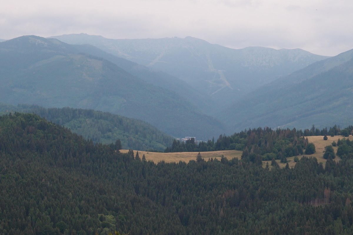 img00008.jpg