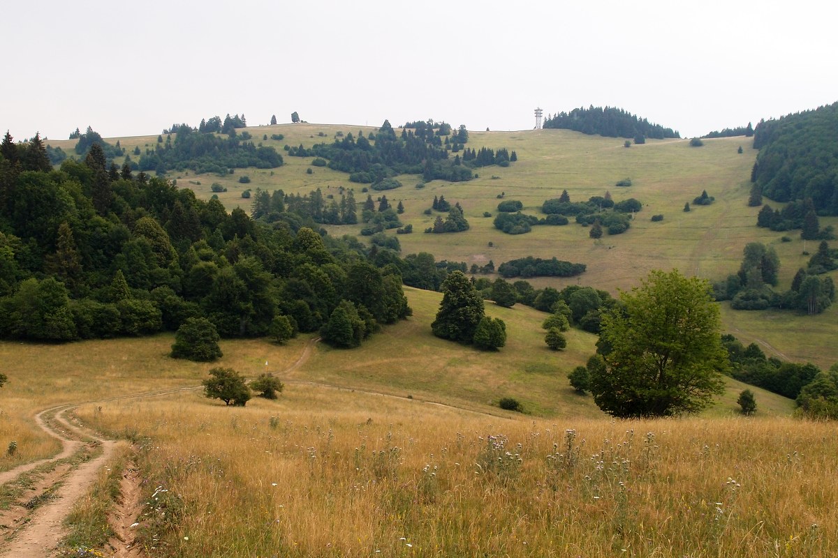 img00015.jpg