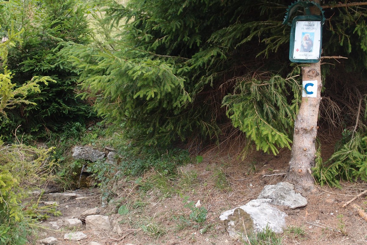 img00016.jpg