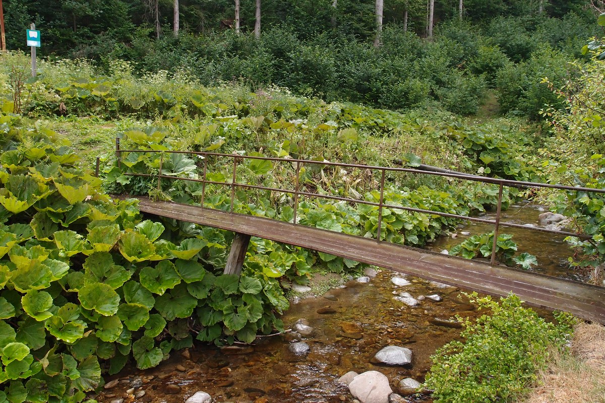 img00020.jpg