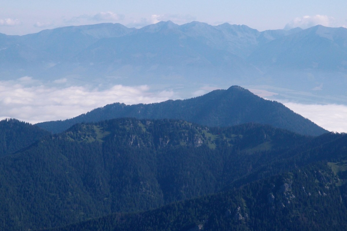 img00003.jpg