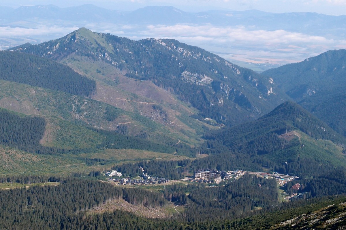 img00005.jpg