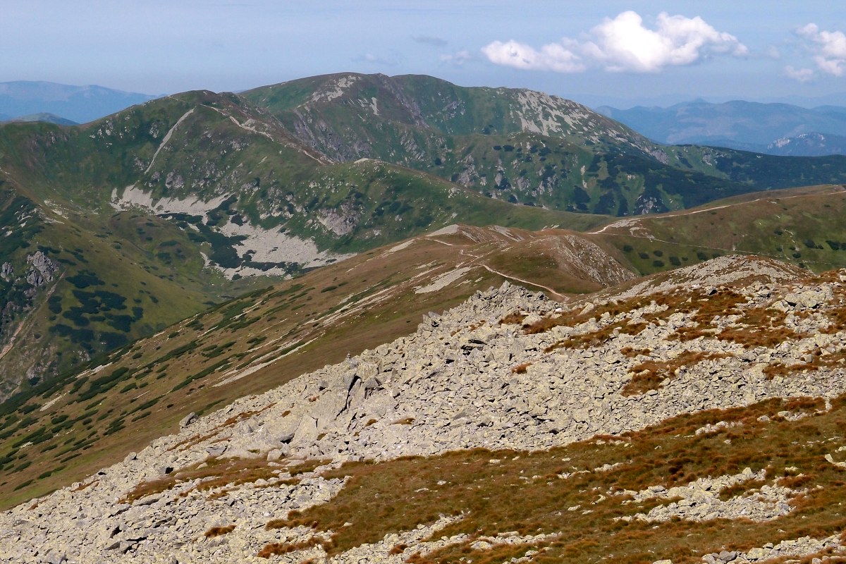 img00007.jpg