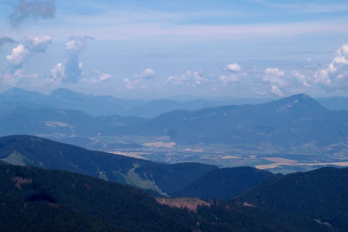 img00014.jpg