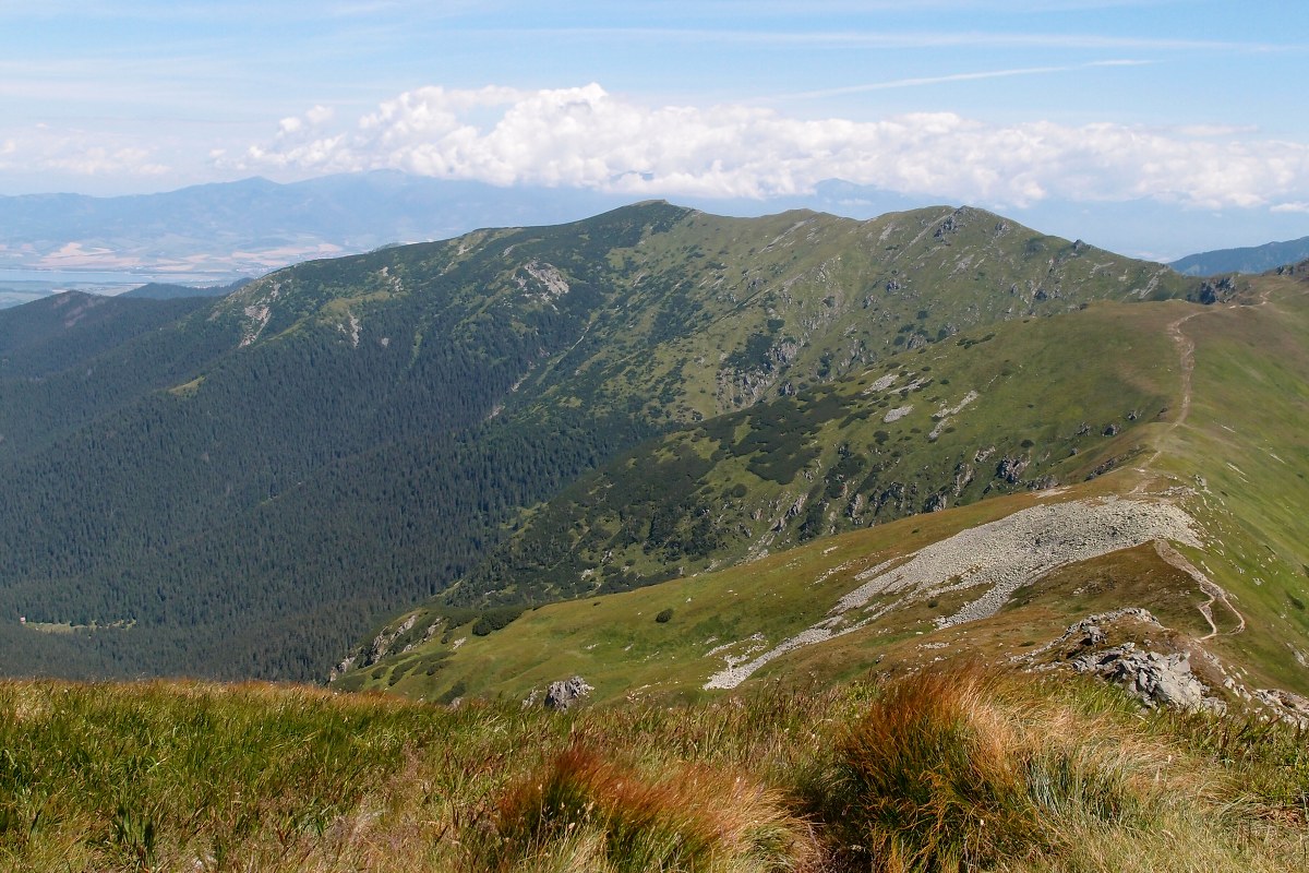 img00015.jpg