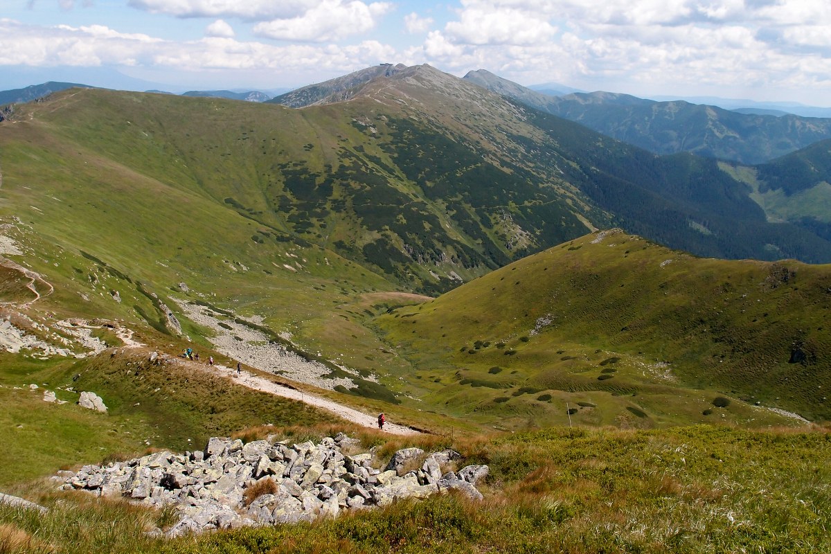 img00017.jpg