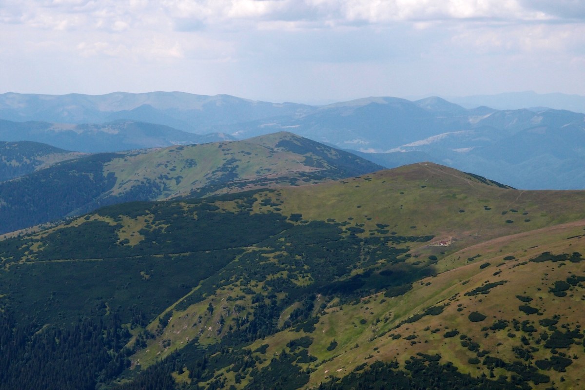 img00020.jpg
