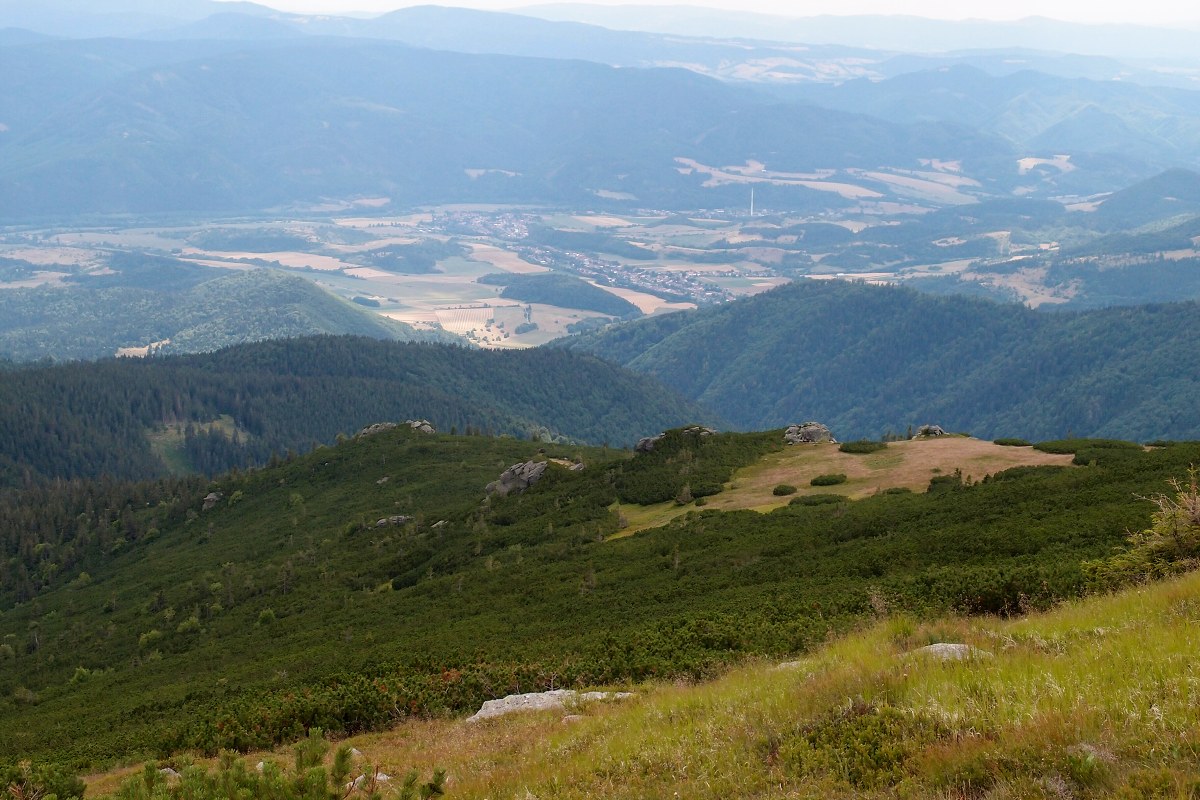 img00024.jpg