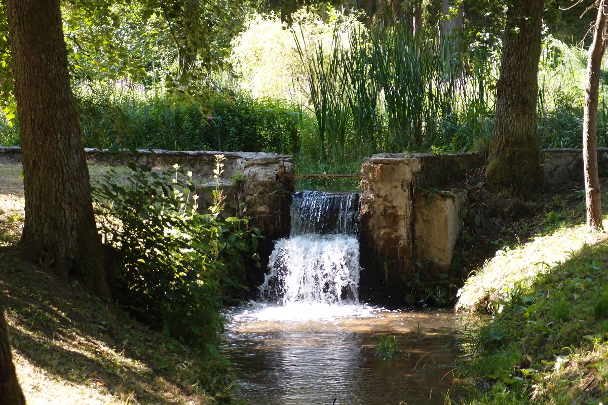 img00004.jpg
