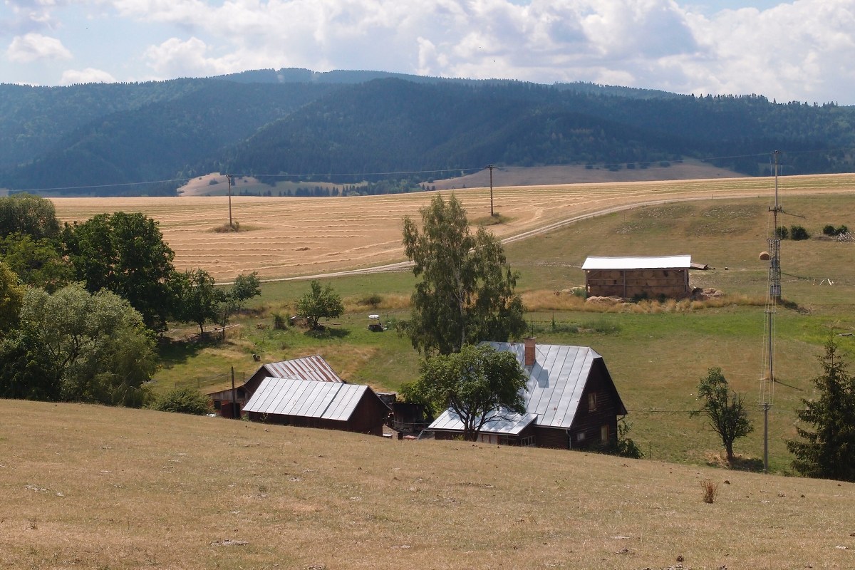 img00005.jpg