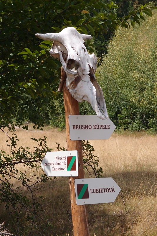 img00009.jpg