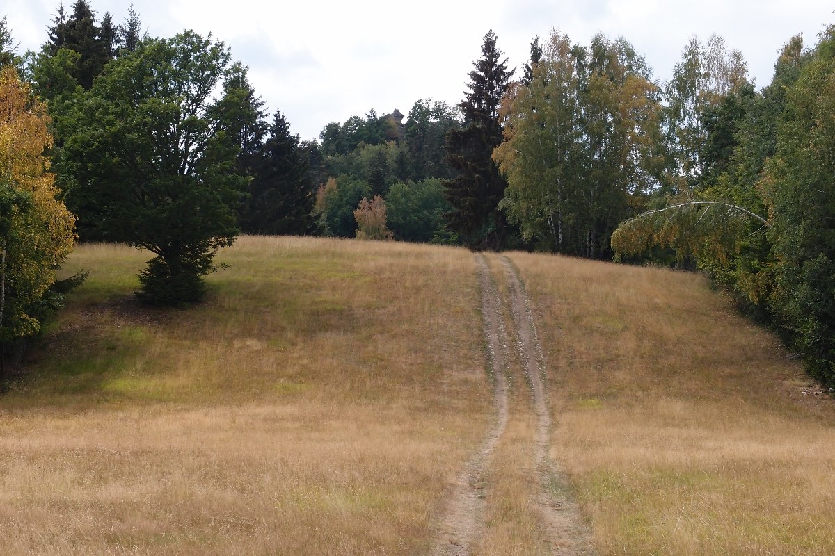 img00010.jpg