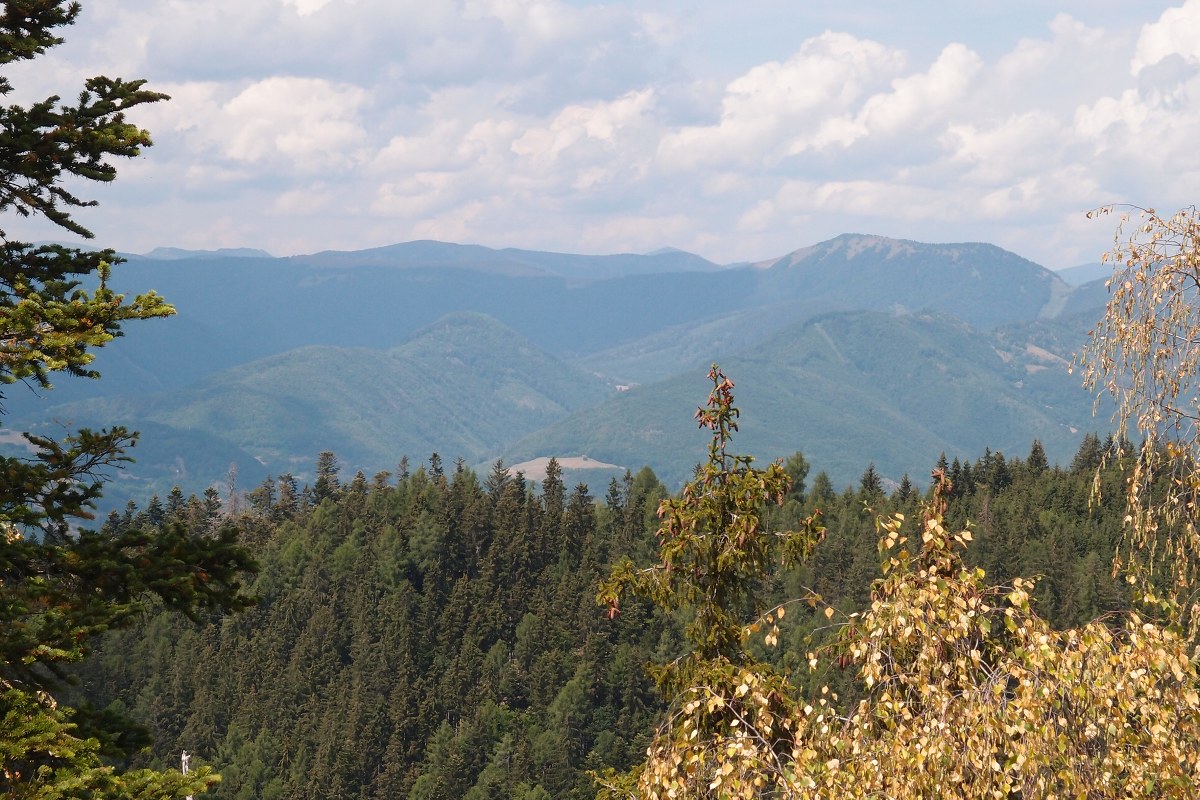 img00014.jpg