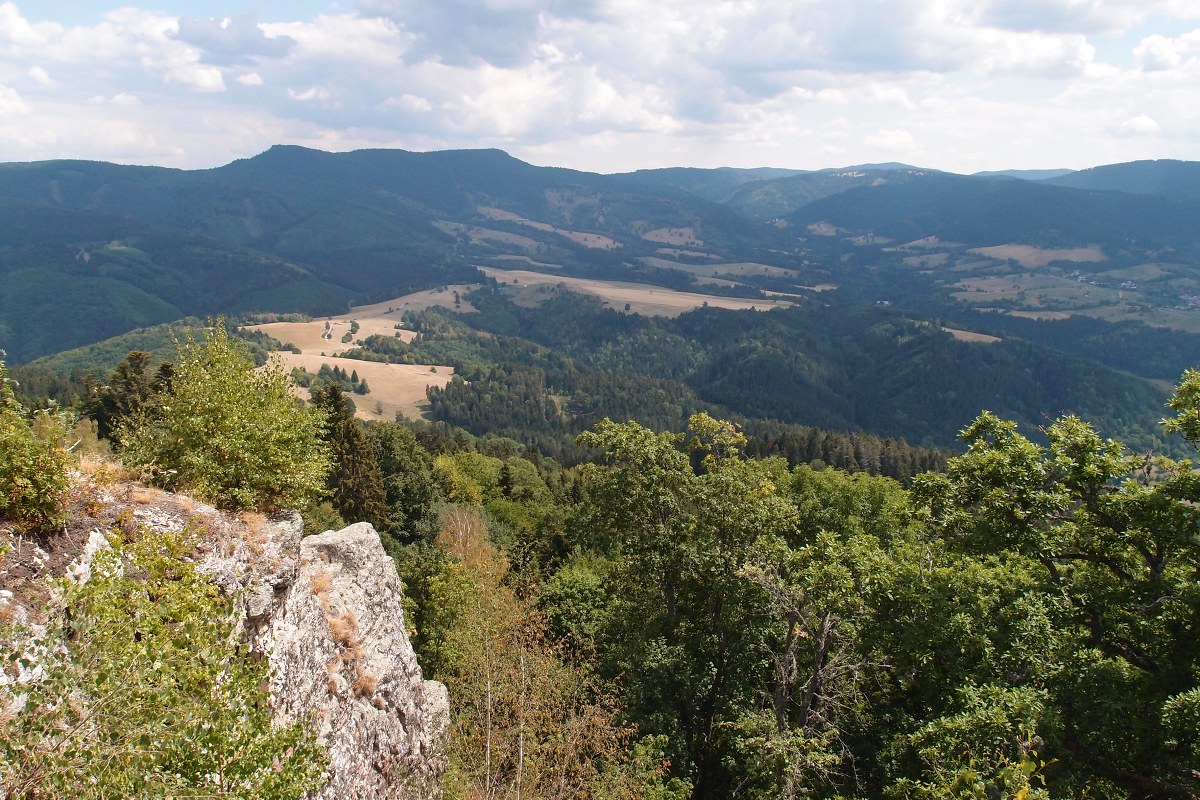 img00015.jpg