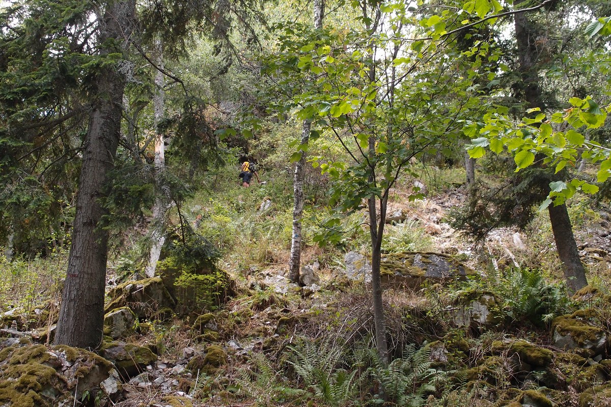 img00018.jpg