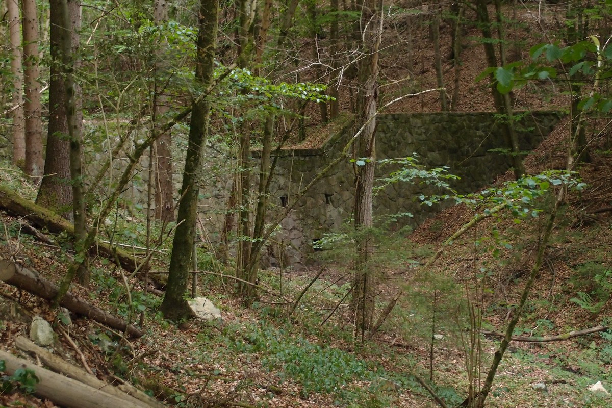 img00019.jpg