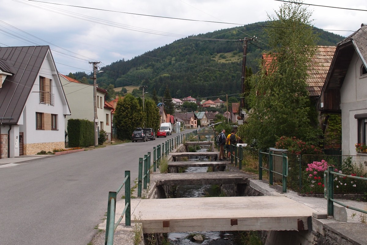 img00020.jpg
