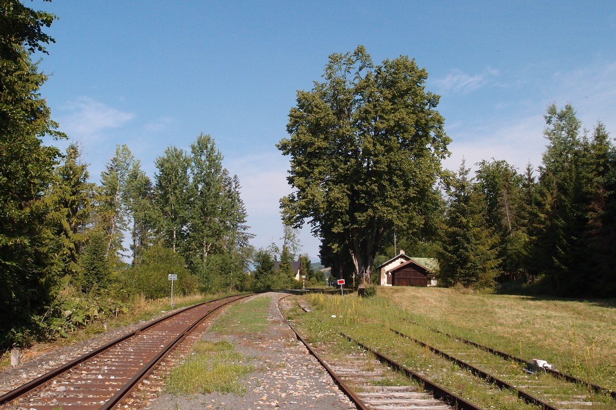 img00002.jpg