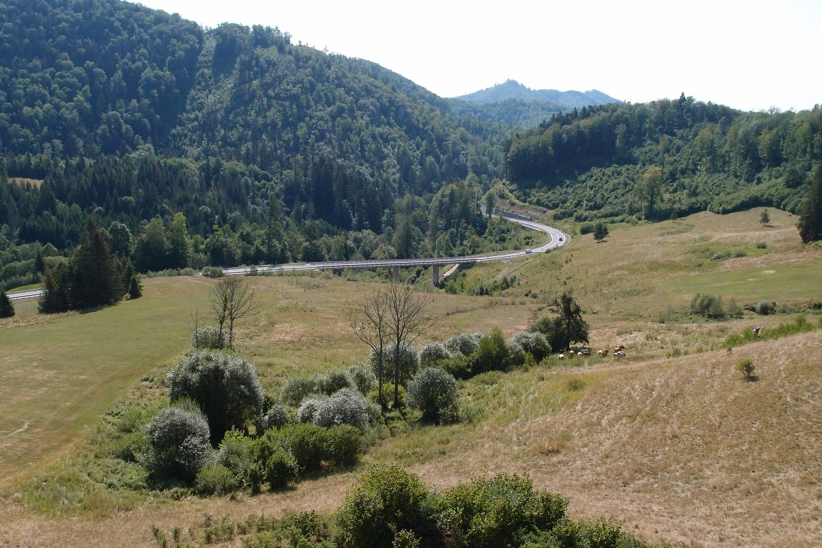 img00006.jpg