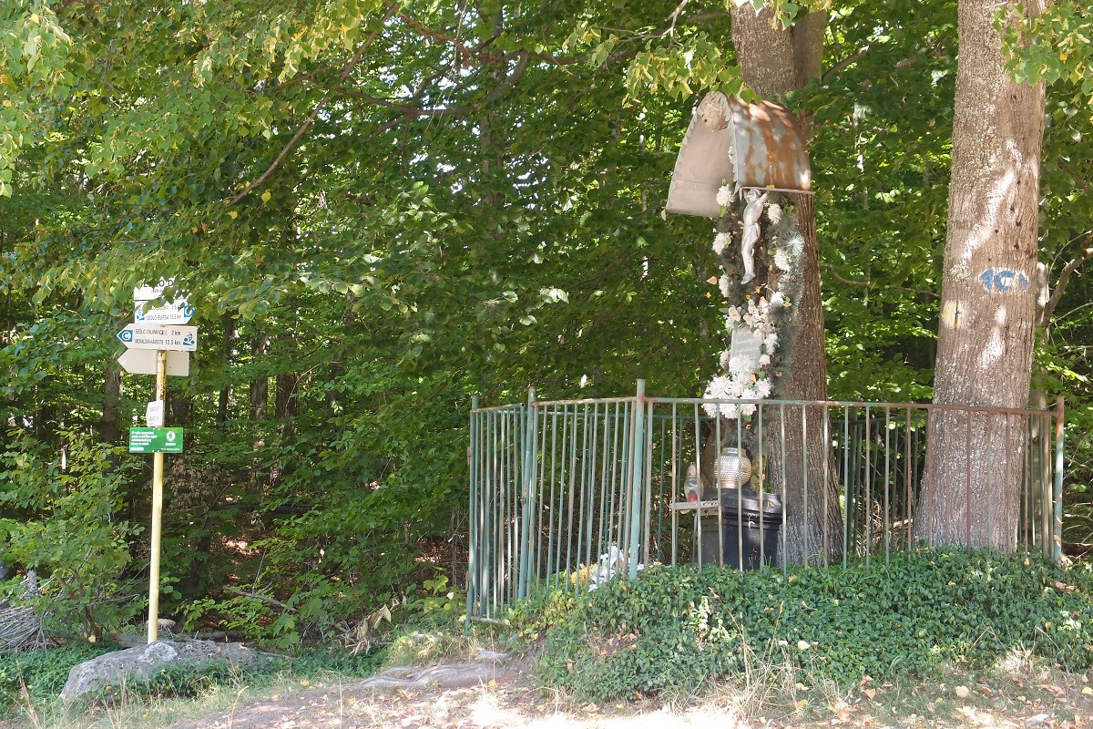 img00011.jpg
