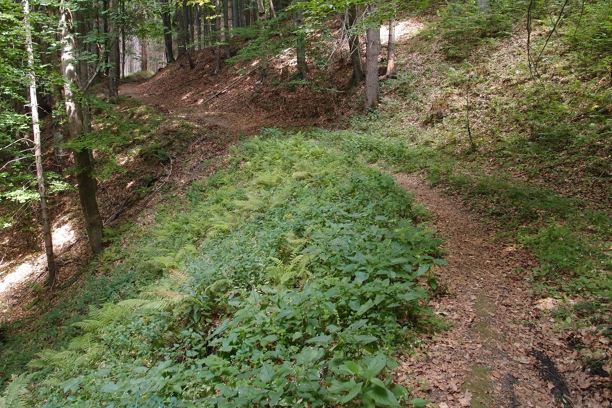 img00015.jpg