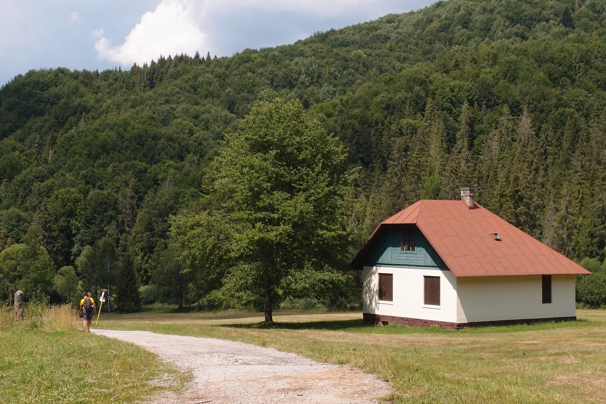 img00016.jpg
